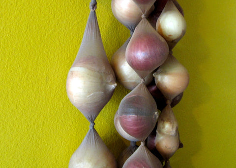 Διατηρήστε τα κρεμμύδια σας φρέσκα έως και για 6 μήνες! | Enallaktiko.gr