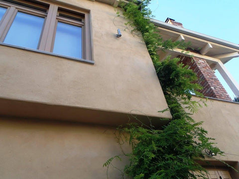 Ένα σπίτι φτιαγμένο από ξύλα, άχυρα & λάσπη | Enallaktiko.gr