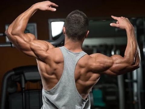 Μυϊκή υπερτροφία & Διατροφή