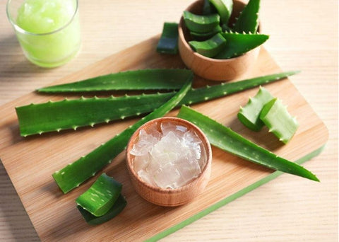 Τζελ αλόης (aloe vera gel) - Enallaktiko.gr