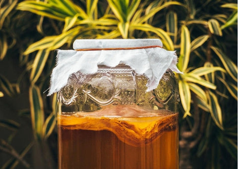 Kombucha (Κομπούχα) Voelkel