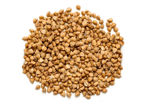 Φαγόπυρο - Enallaktiko.gr