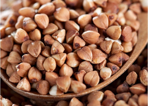 Φαγόπυρο - Enallaktiko.gr