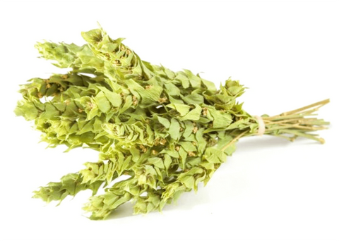 Τσάι του βουνού BIO Όλα Bio 12x1,5g | Enallaktiko.gr