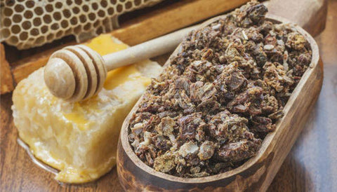 Πρόπολη: Ένα φυσικό αντιβιοτικό | Enallaktiko.gr