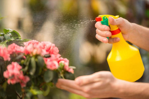 DIY: Εντομοκτόνο spray με πράσινο σαπούνι & οινόπνευμα | Enallaktiko.gr