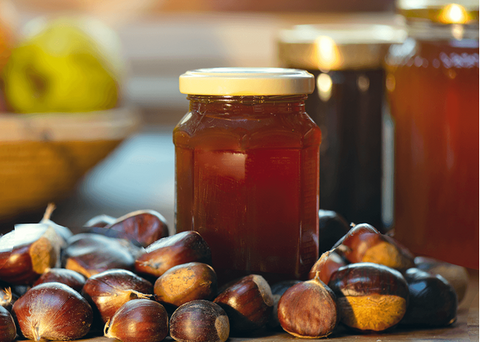 Μέλι καστανιάς Χελμός | Enallaktiko.gr