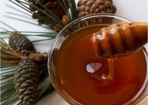 Μέλι πεύκου Χελμός | Enallaktiko.gr