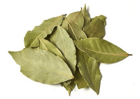 Φύλλα δάφνης | Enallaktiko.gr